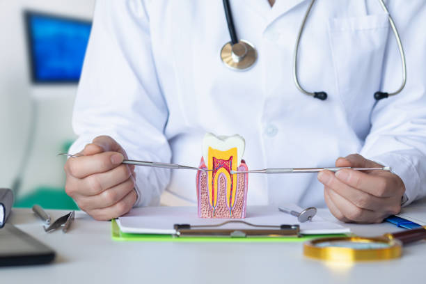 Best Emergency Broken Tooth Repair in Carlton, OR